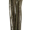 16-18" Yellow Billy Buttons. 25-30 stem bundle, dried