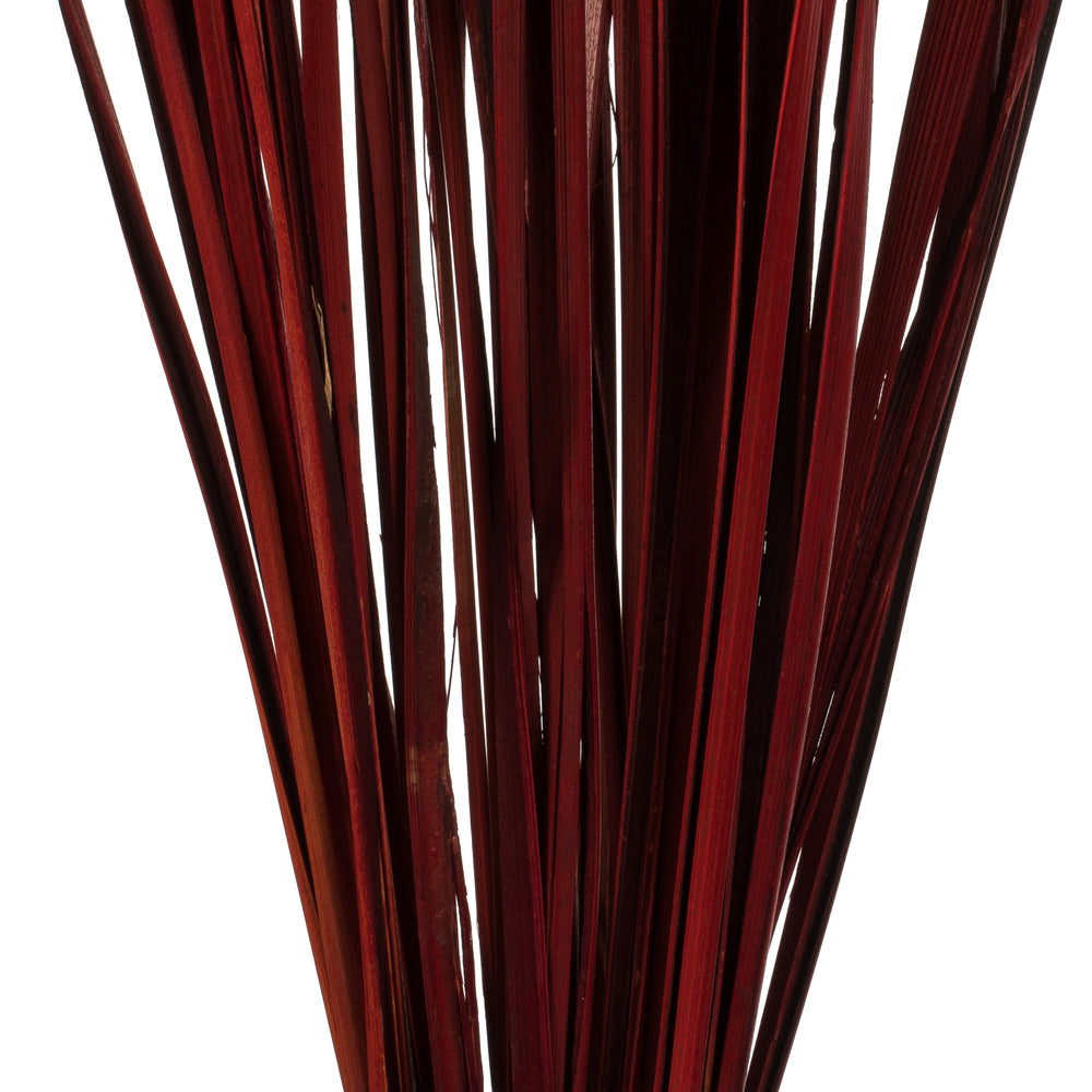 28" Red Splinter Grass, 11 oz Bundle, Dried