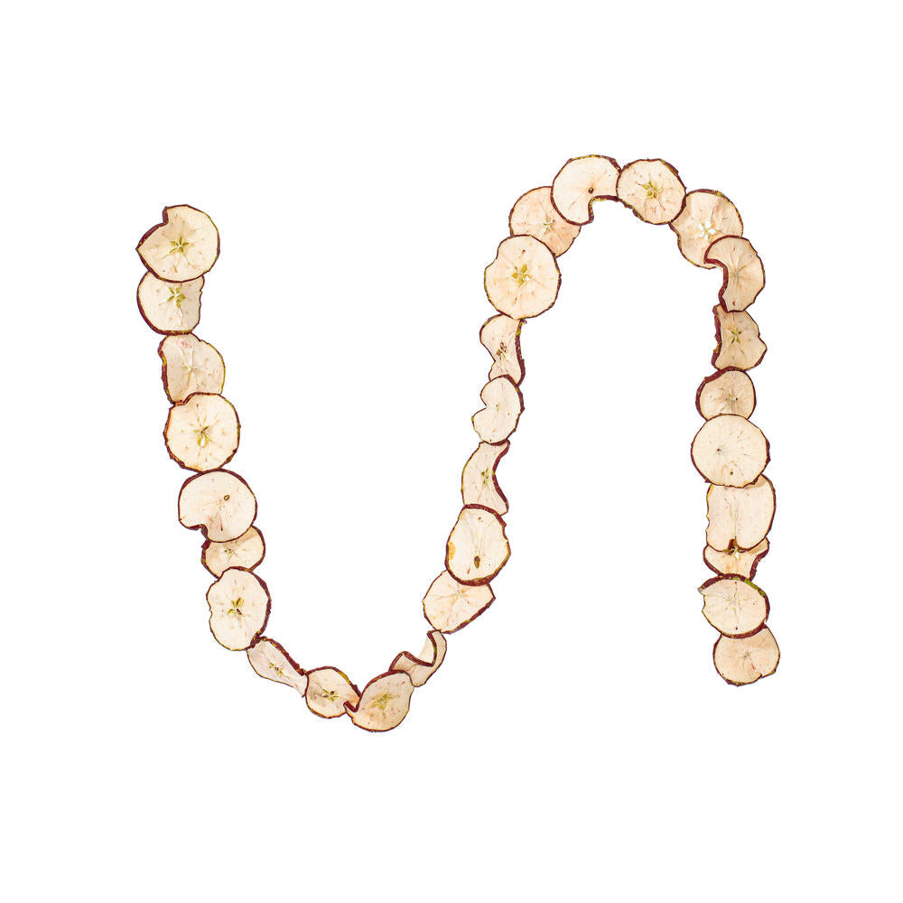 10' Natural and Dried Sliced Apple Garland