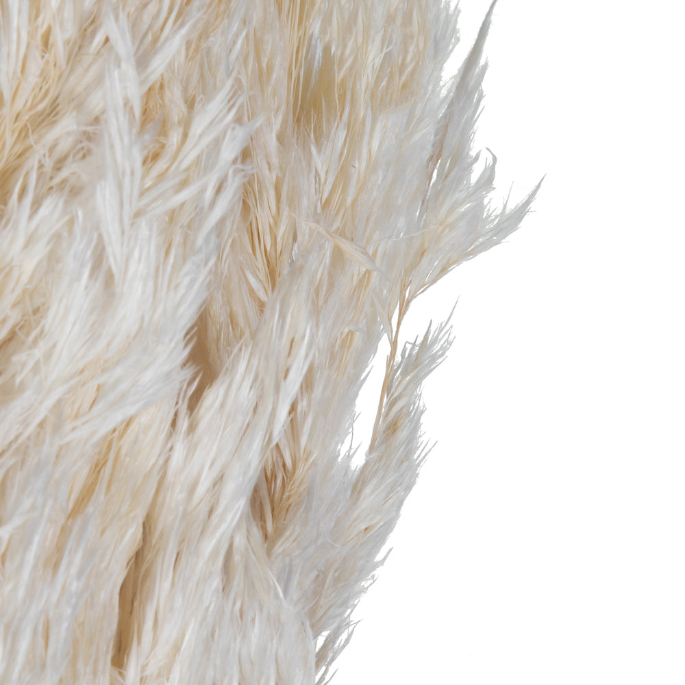 36" Bleached Plume Reed Bundle (15-20 stems), Preserved