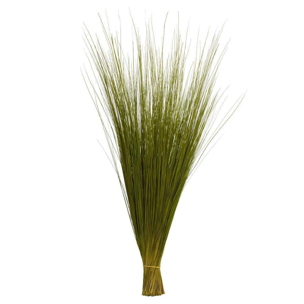 35-40" Basil Bright Grass, 8 oz Bundle, Dried