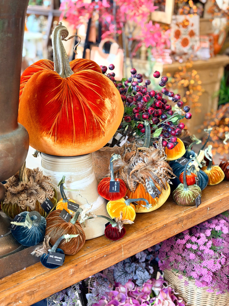 Hot Skwash Pumpkins