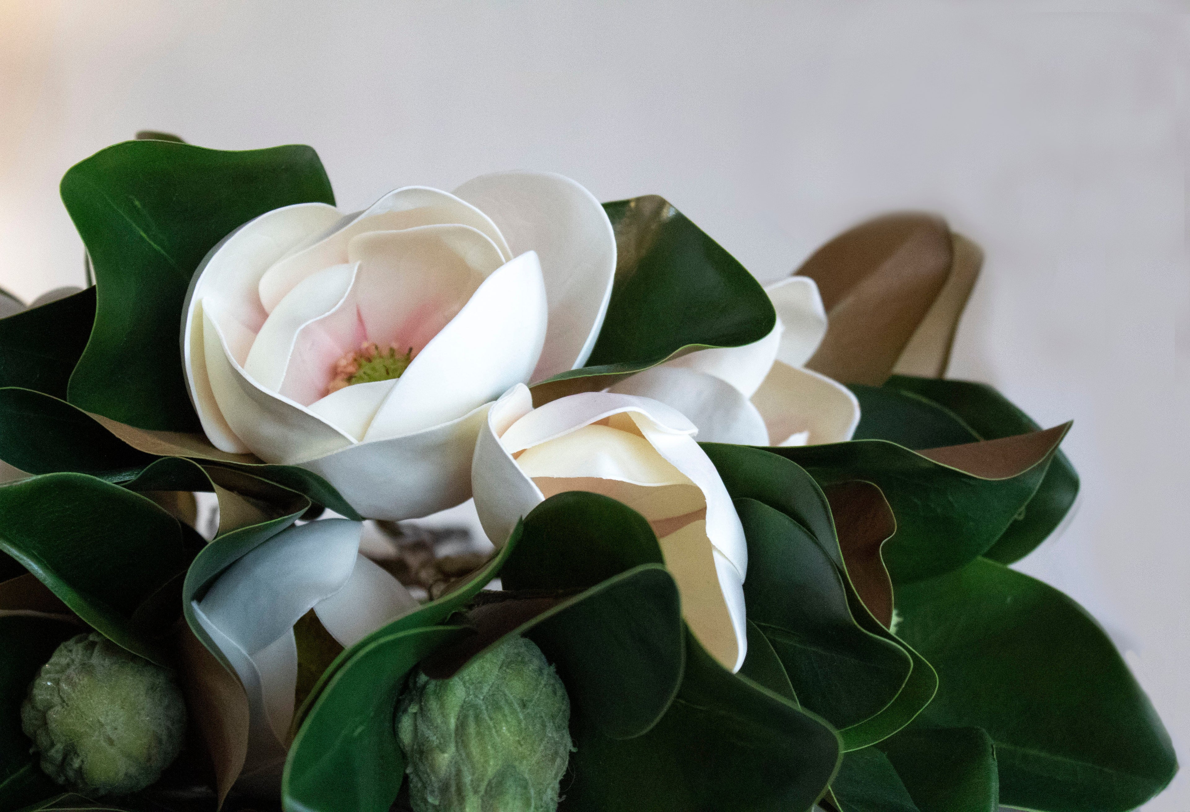 Stems, Garlands, and Wreaths