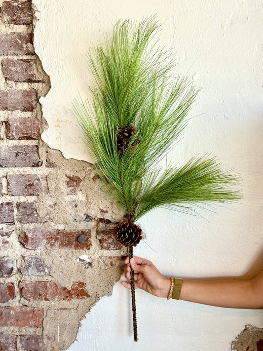 34" HORSETAIL PINE W/CONE SPRAY