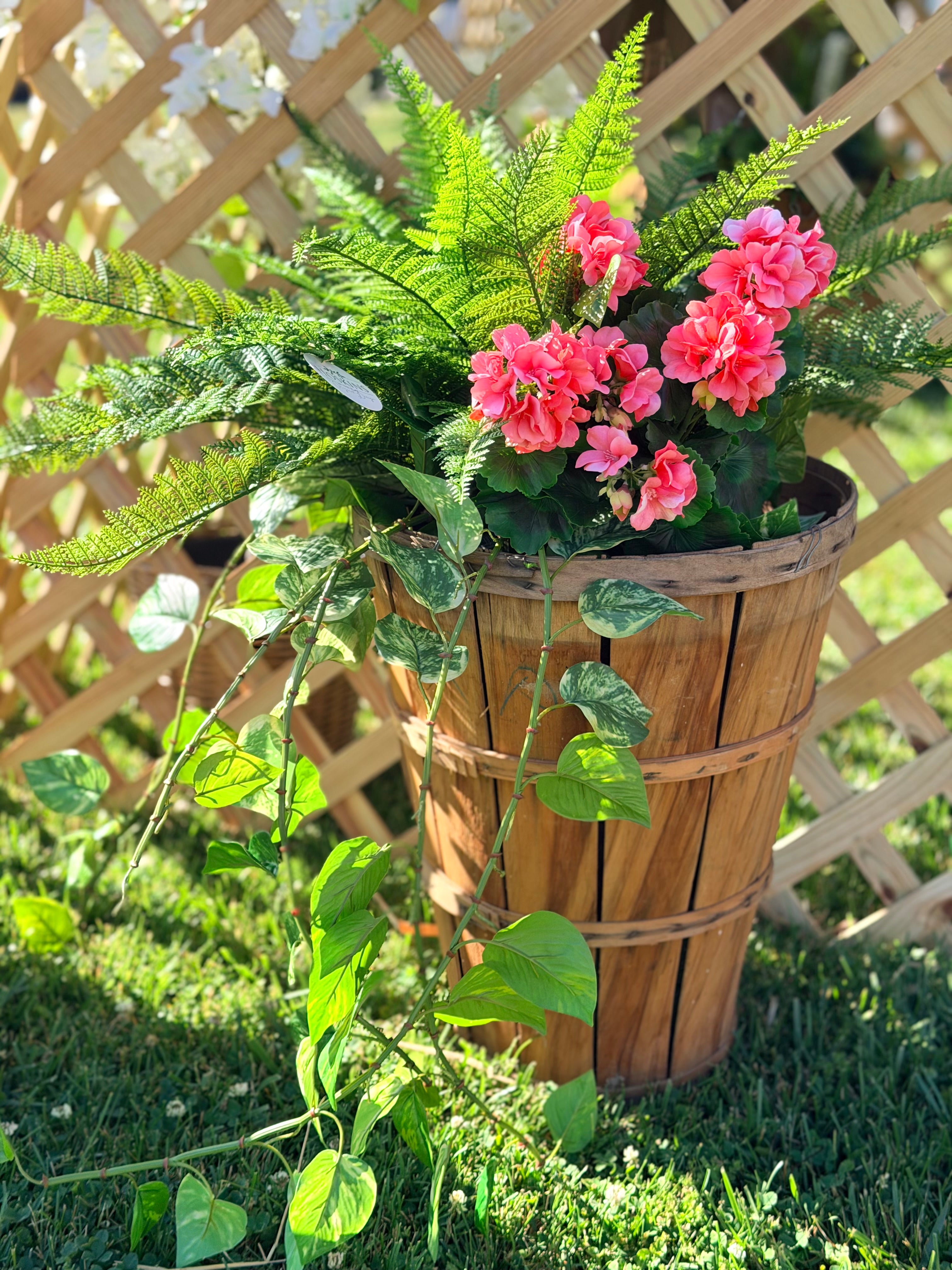 Pink Geraniums, Fern, and Ivy in Antique Brown Basket