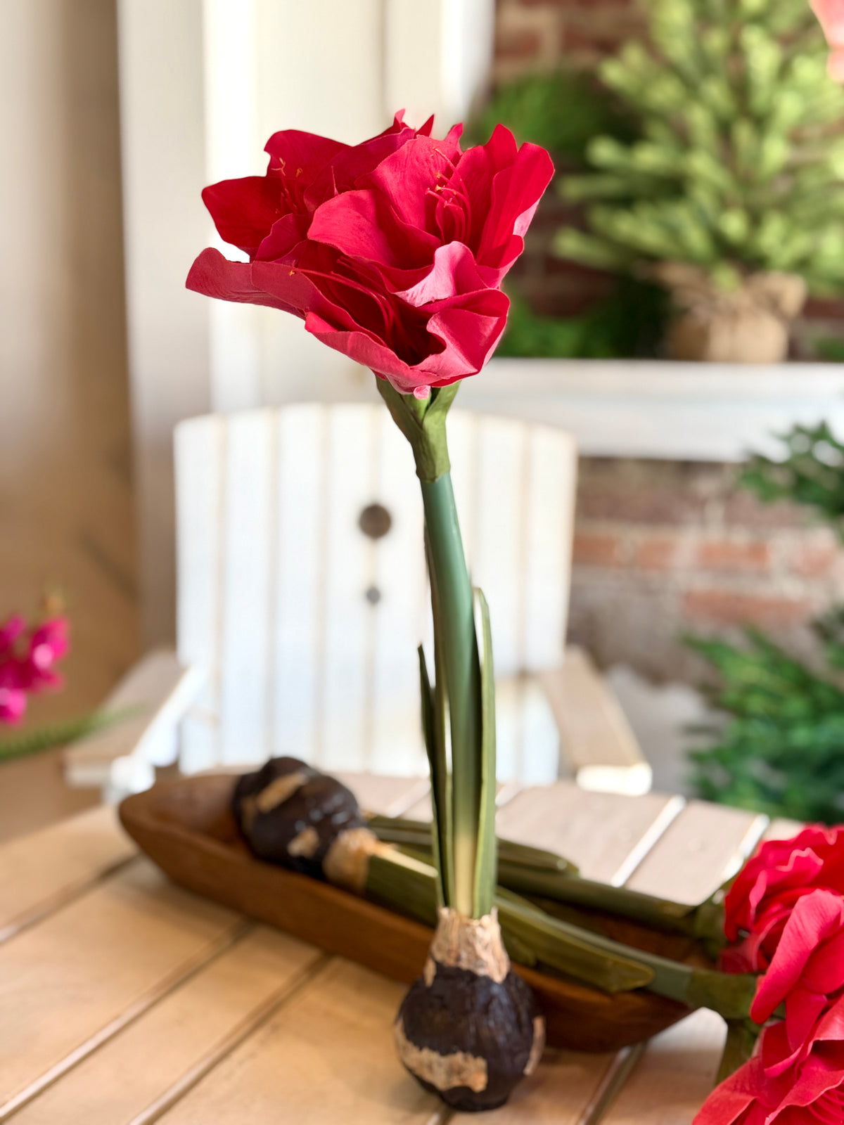 19" Real Touch Red Amaryllis Bulb