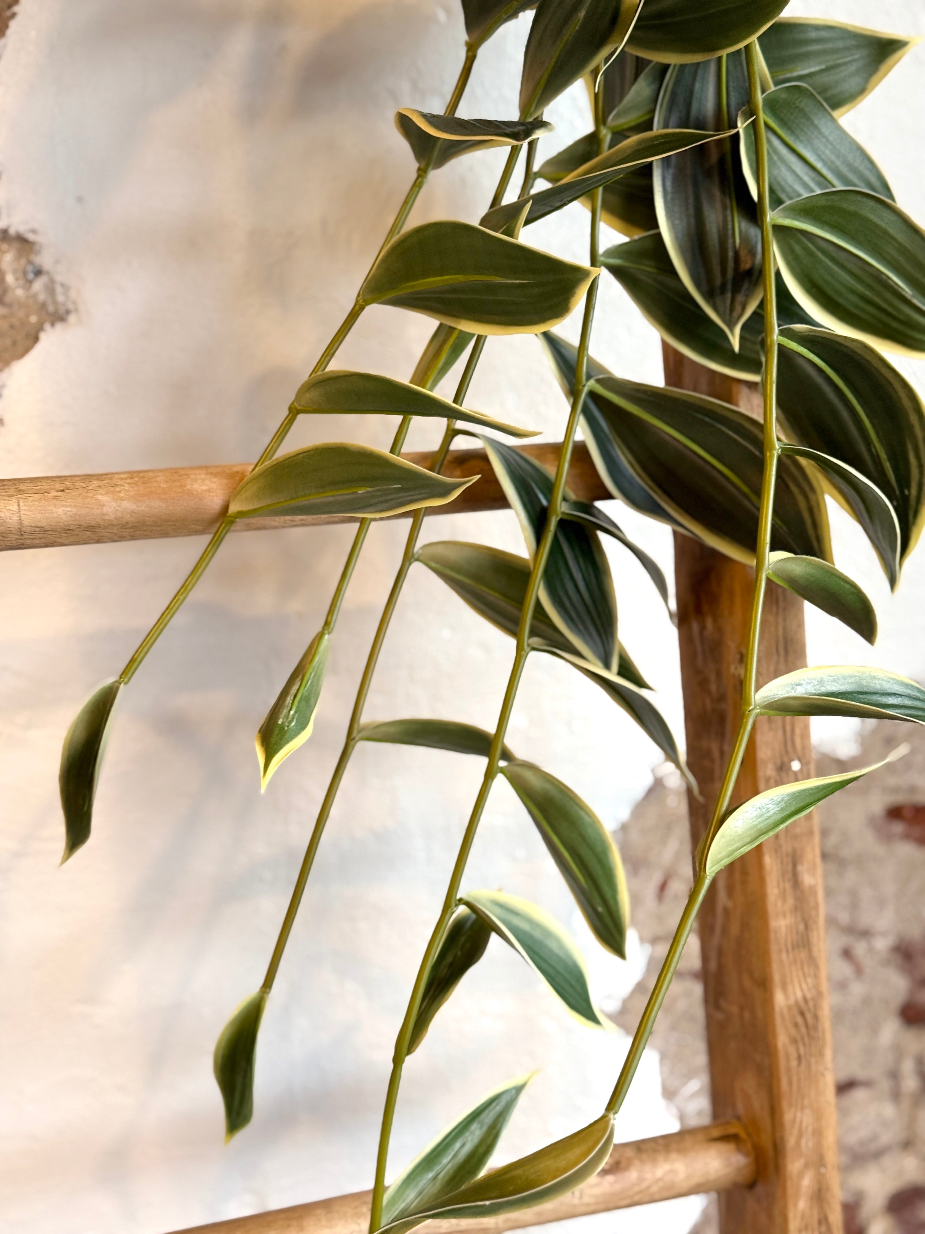 31” UV NATURAL TOUCH TRAILING BAMBOO