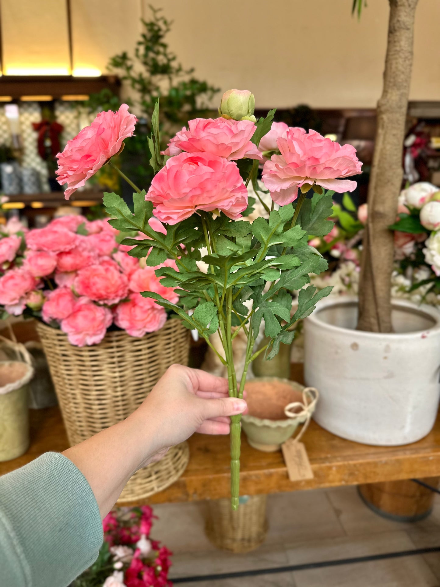 RANUNCULUS PLANT 16" (COLOR OPTIONS)