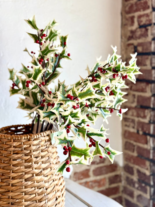 30" FRESH CUT HOLLY SPRAY- UV