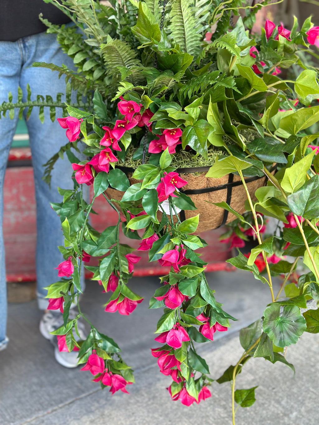 Bougainvillea Hanging Basket