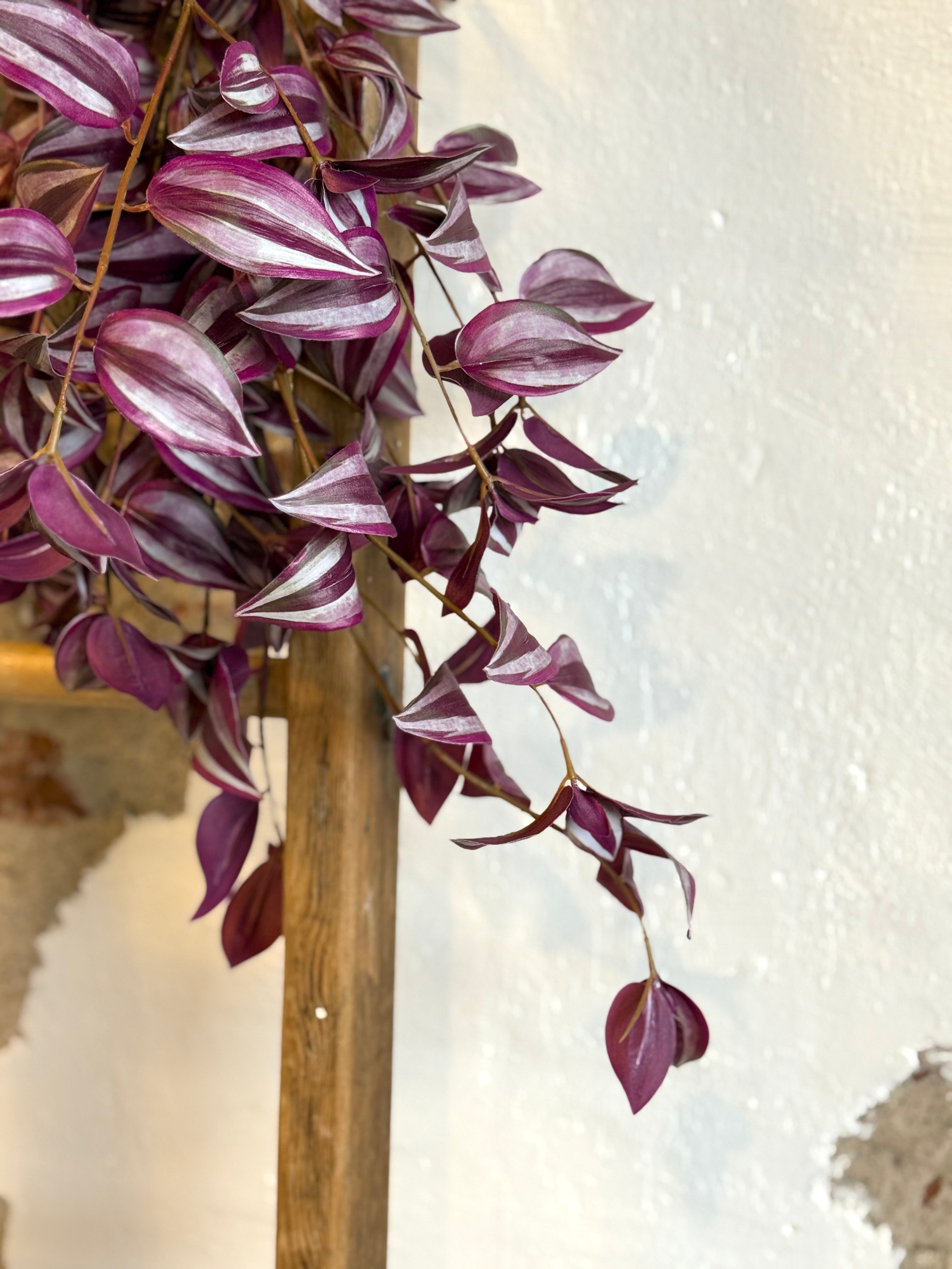 31” UV NATURAL TOUCH HANGING TRADESCANTIA