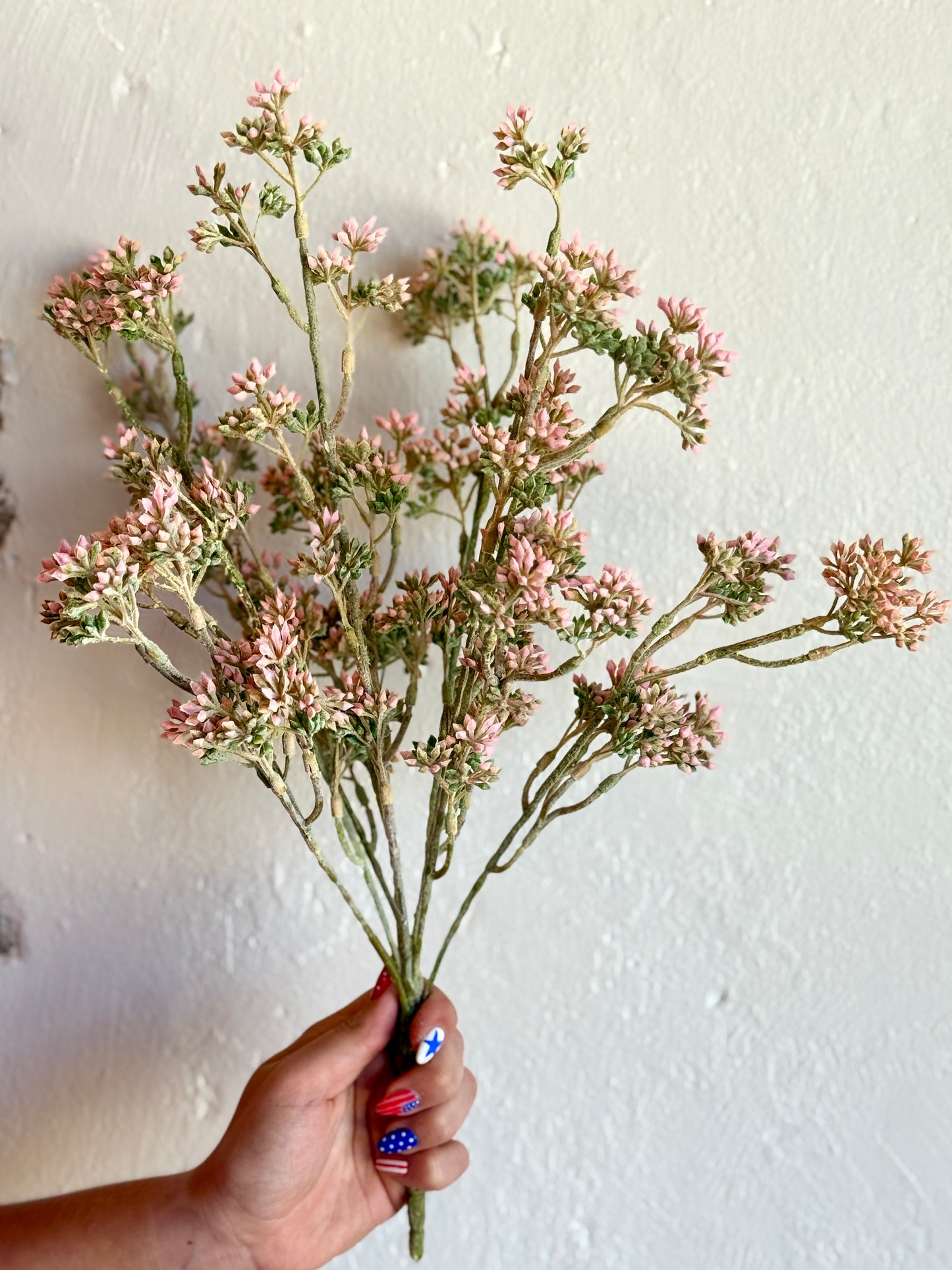 17" Seeds Bush (Multiple Options)