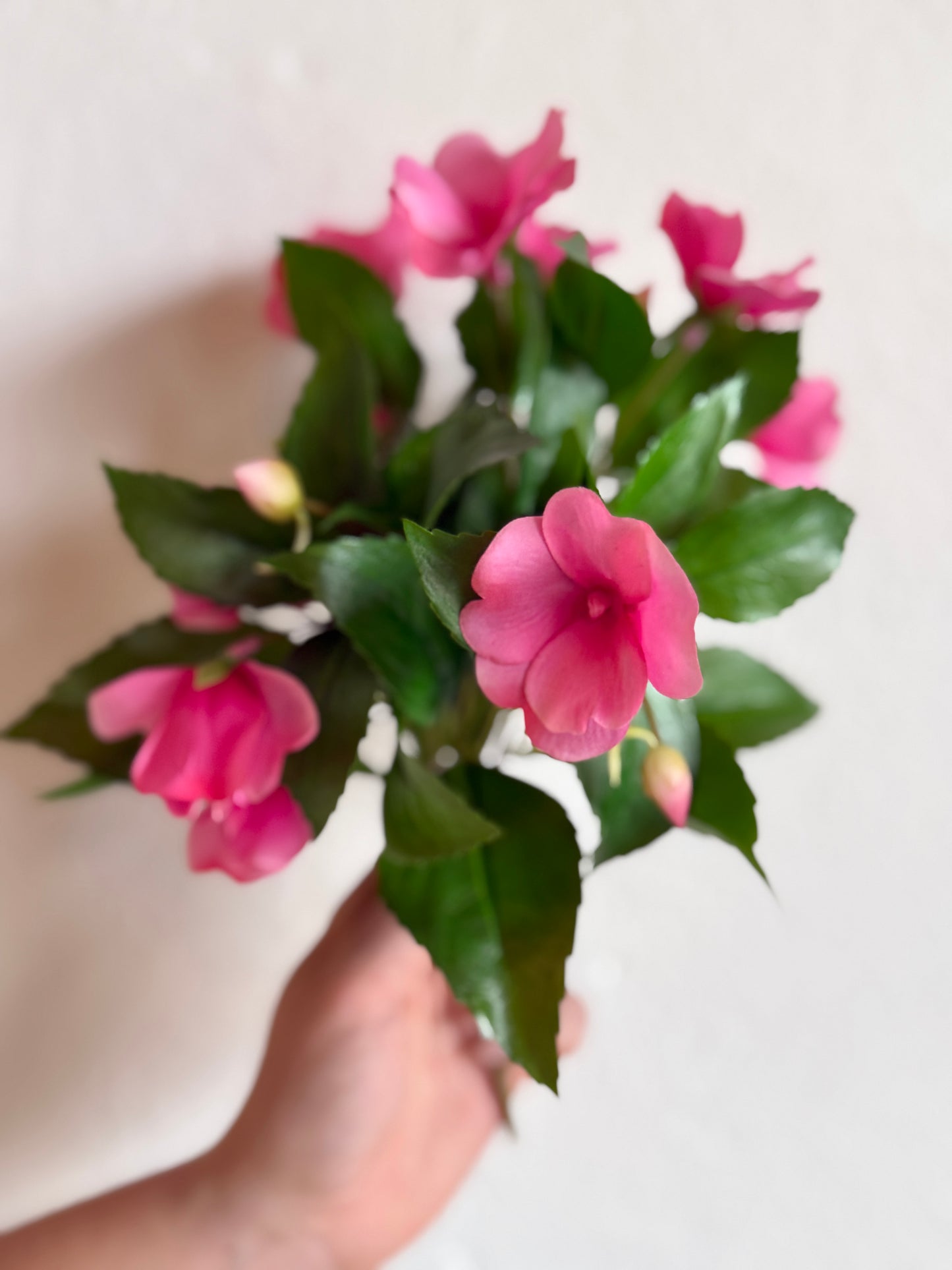 10" UV Natural Touch Guinea Impatiens Plant