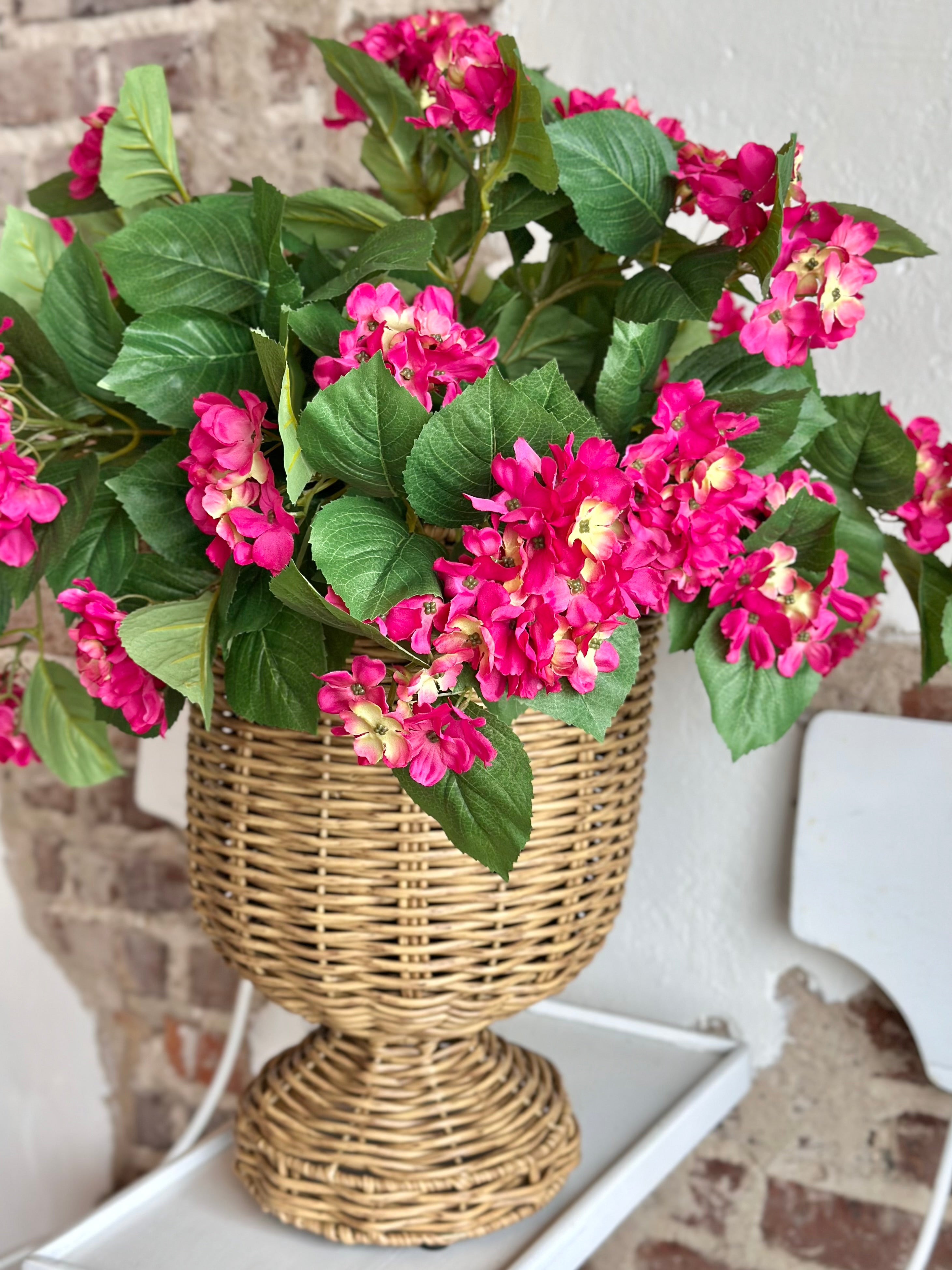 UV Pink Potted Hydrangea