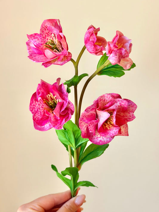 24" Just Cut Helleborus w/Bud
