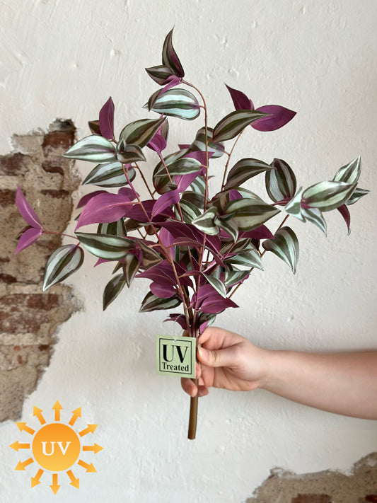 19" UV Tradescanthia Bush