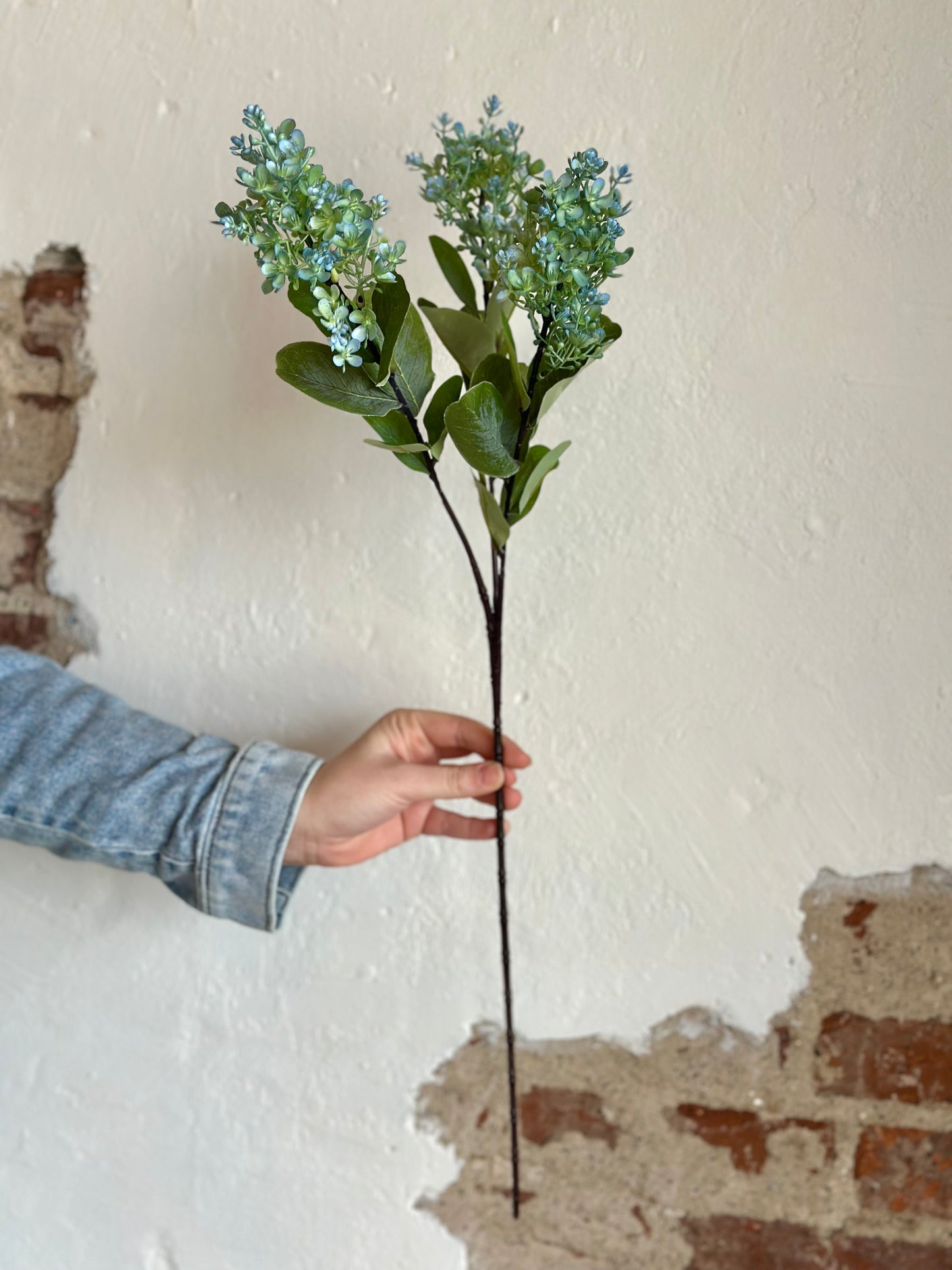 SEEDED PEEGEE HYDRANGEA 29" BLUE