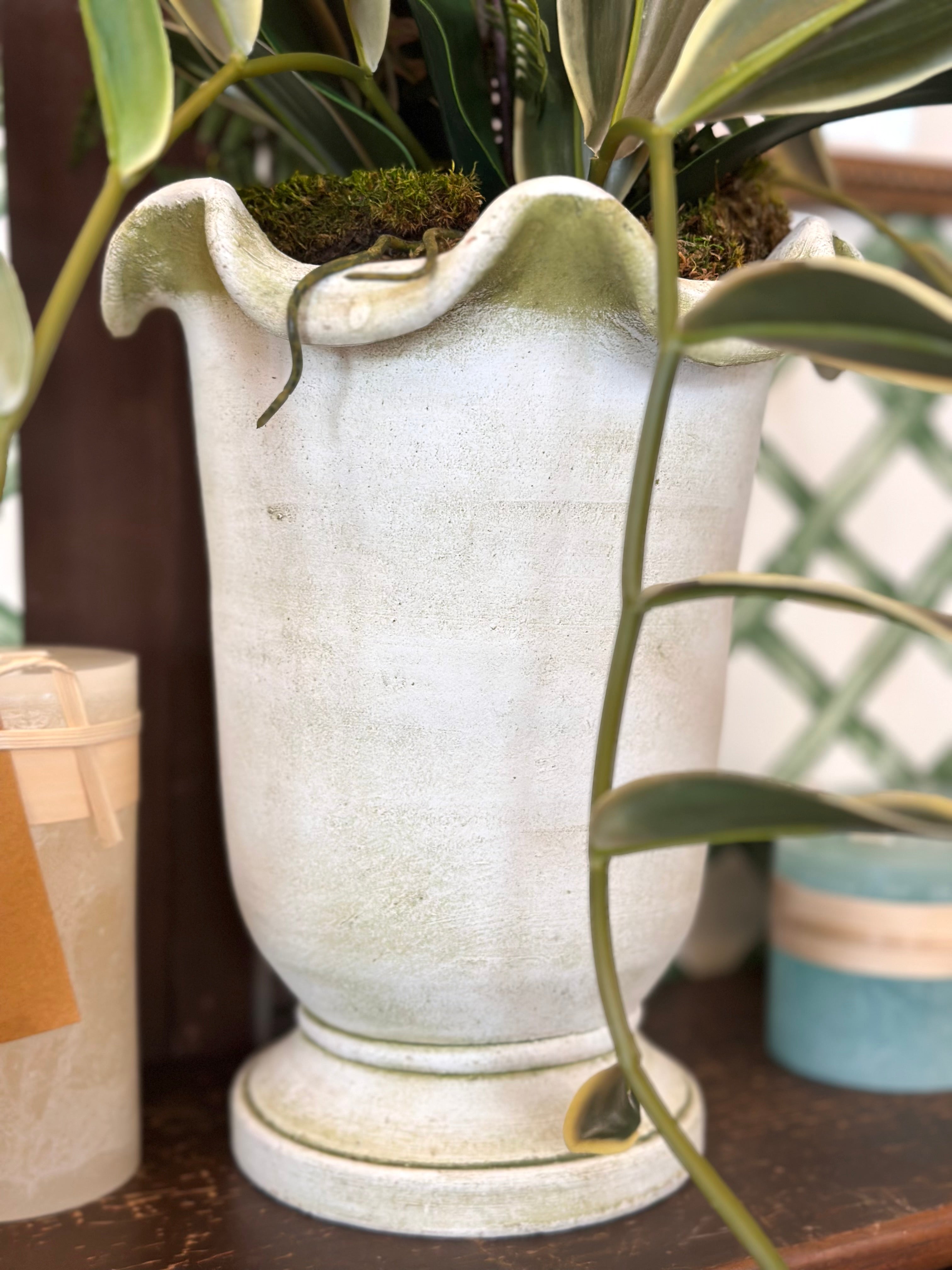 Pink Orchid & Bamboo