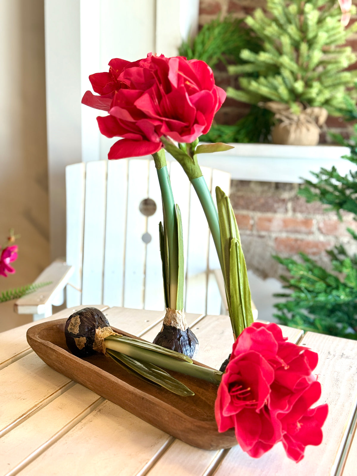 19" Real Touch Red Amaryllis Bulb