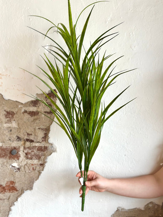 33" Fountain Grass Bush