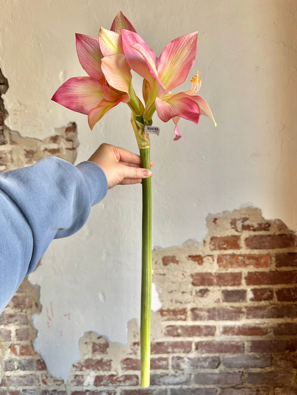 28" Amaryllis- Mauve