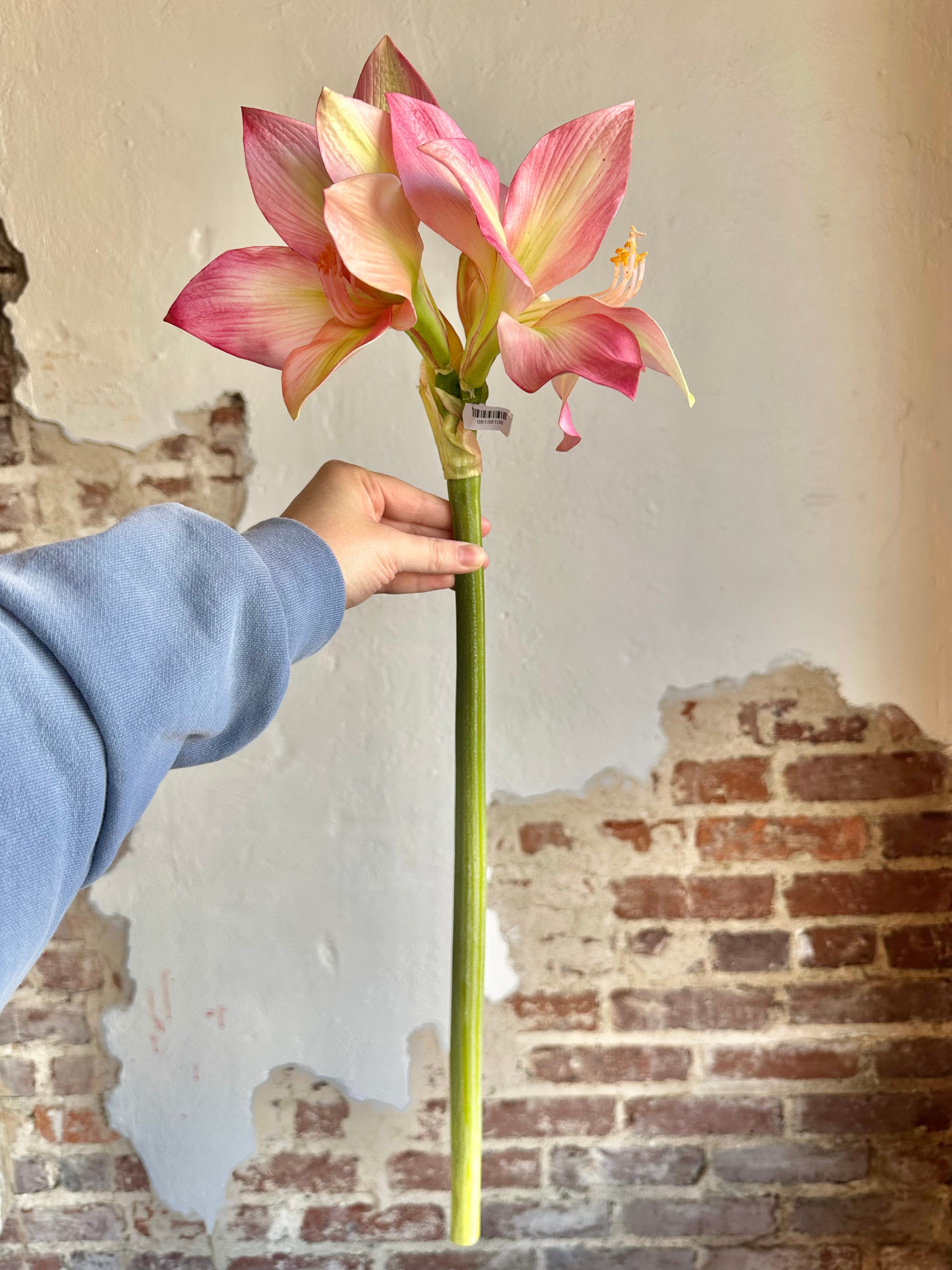 28" Amaryllis- Mauve