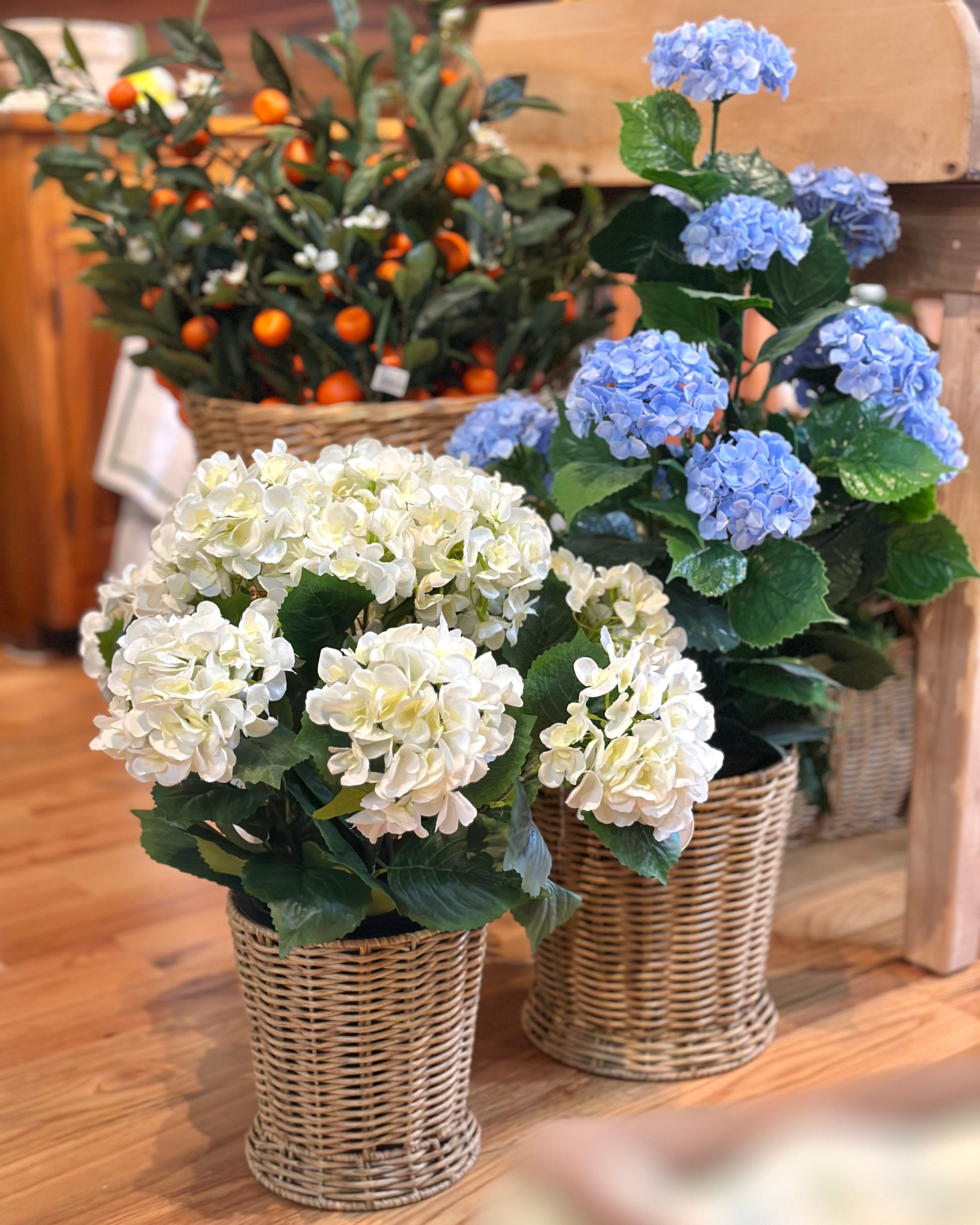 22" Potted Garden Hydrangea White
