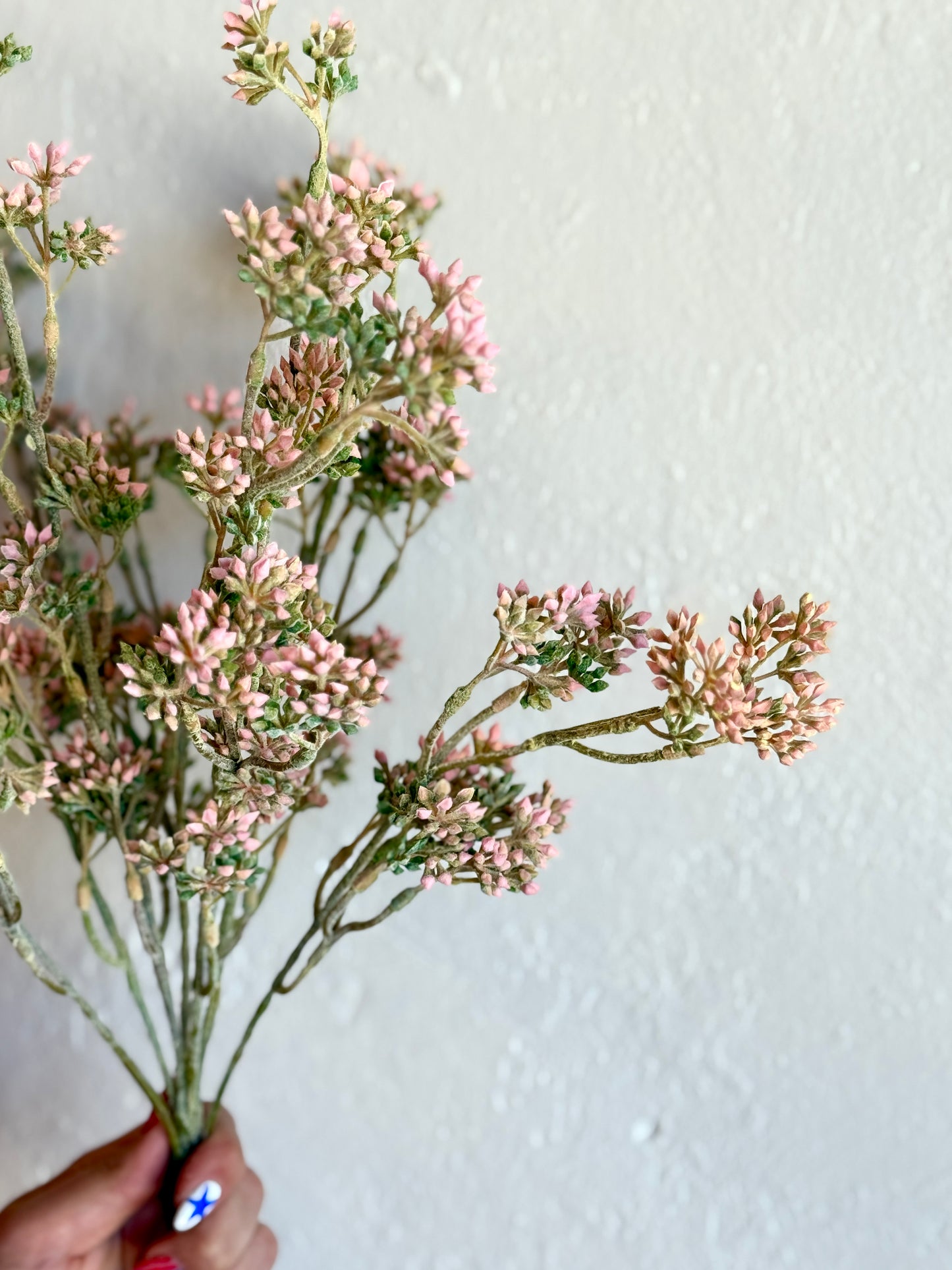 17" Seeds Bush (Multiple Options)