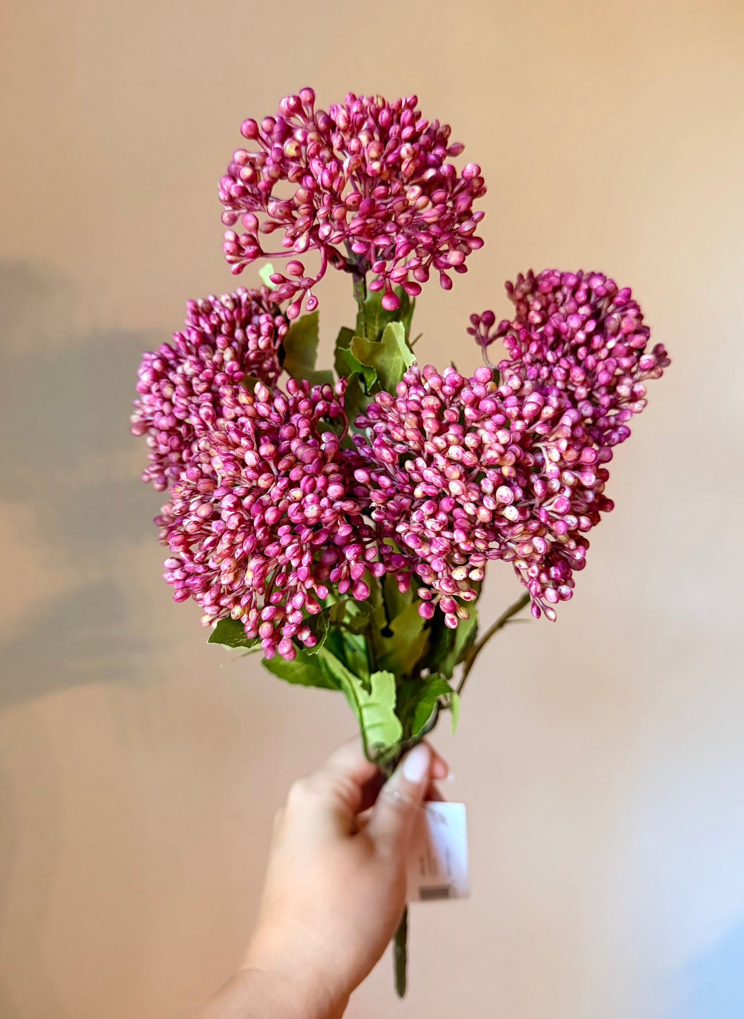 17” YARROW BUSH