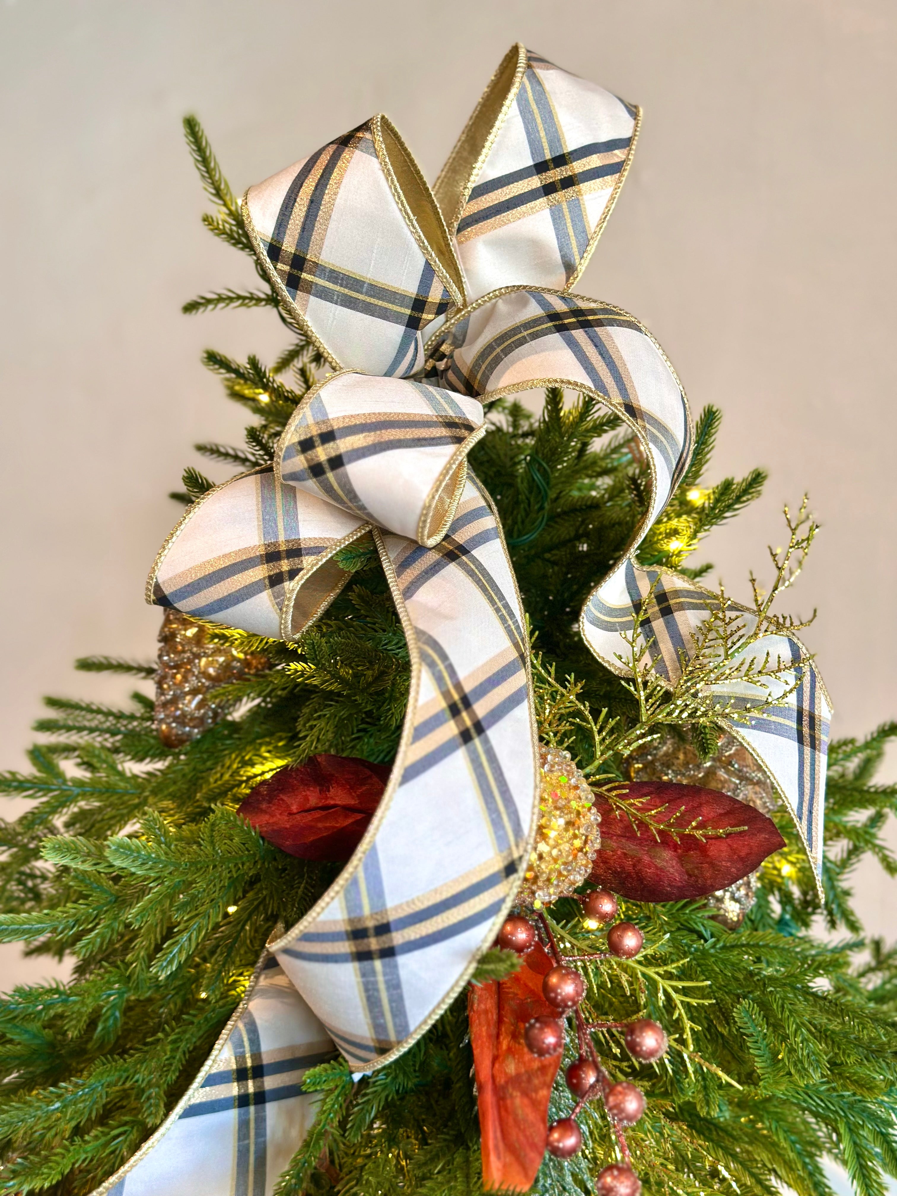 Ribbon Loops