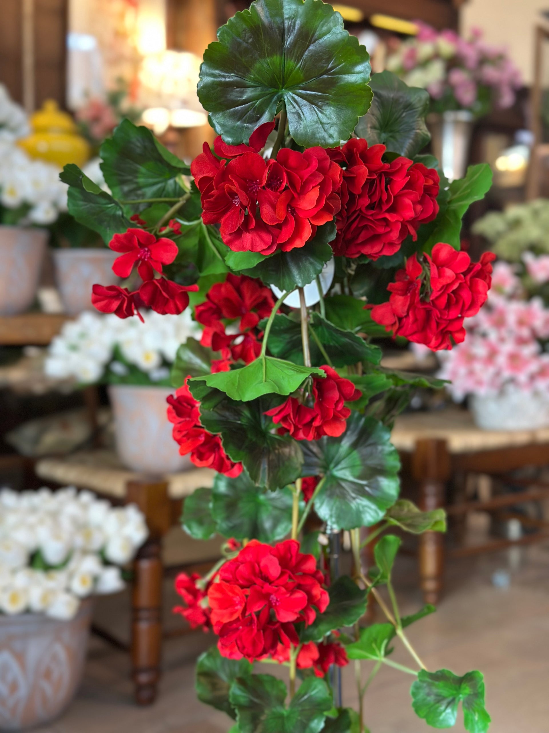 36" UV-Rated Natural Touch Summer Hanging Geranium Plant (COLOR OPTION   Hoskins In The Flat Clinton