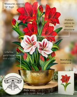 Christmas Scarlet Amaryllis