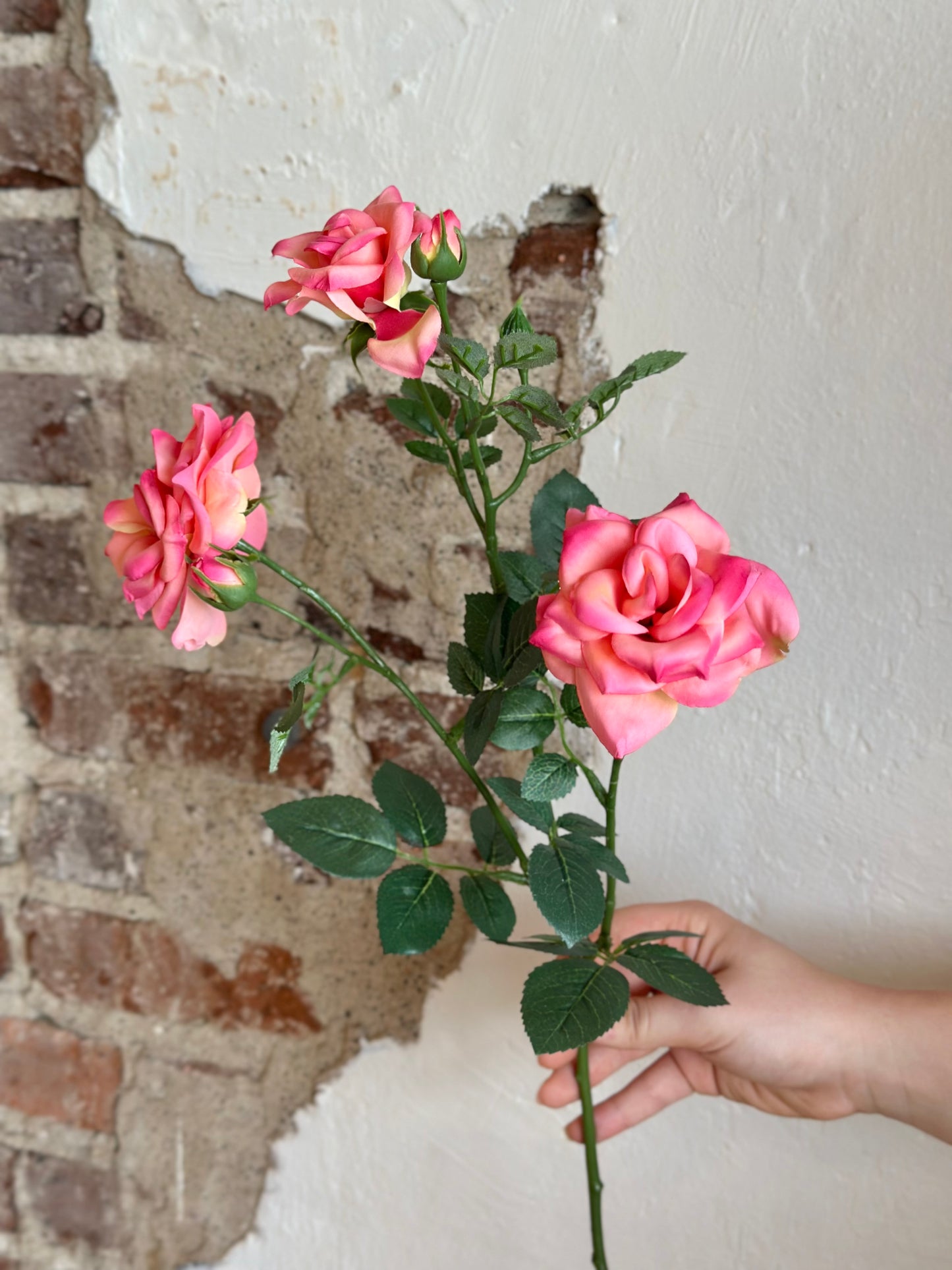 24" Curled Garden Rose