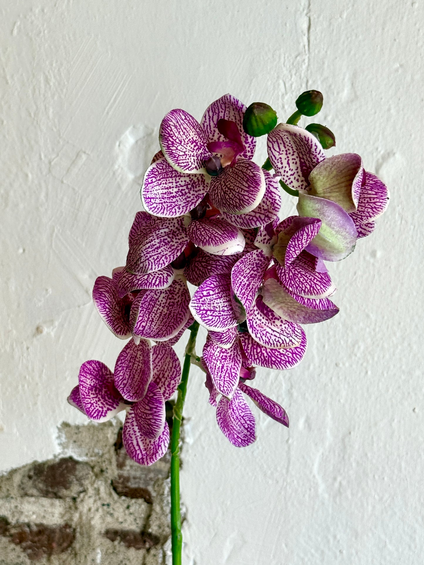 21" PHALAENOPSIS ORCHID SPRAY, PURPLE/CREAM