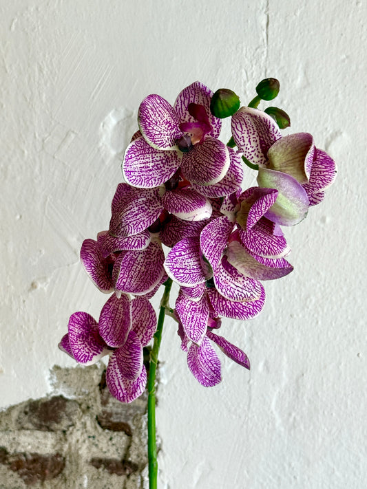 21" PHALAENOPSIS ORCHID SPRAY, PURPLE/CREAM