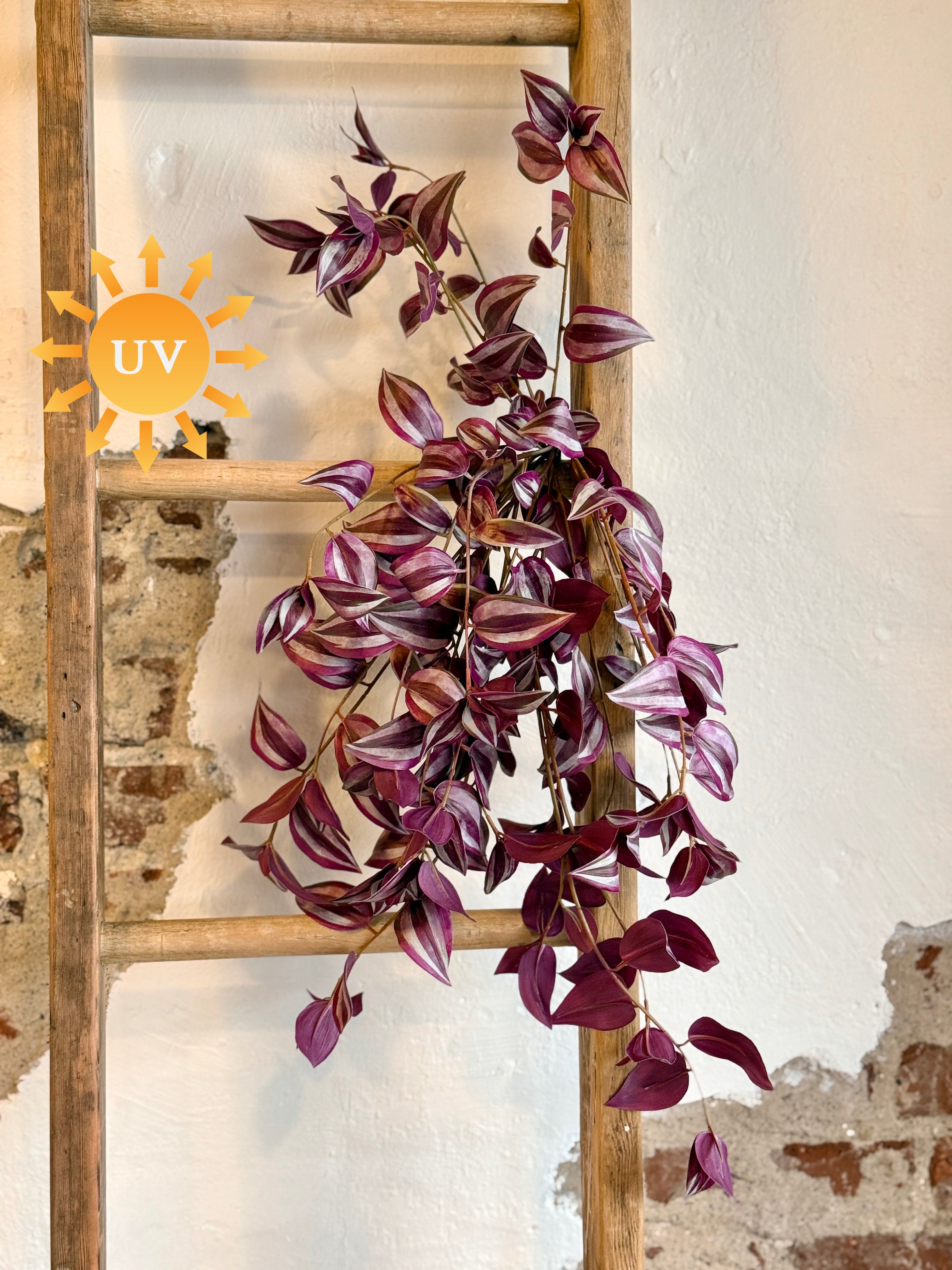 31” UV NATURAL TOUCH HANGING TRADESCANTIA