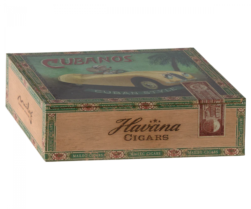 Grandma and Grandpa Mice in Cigarbox
