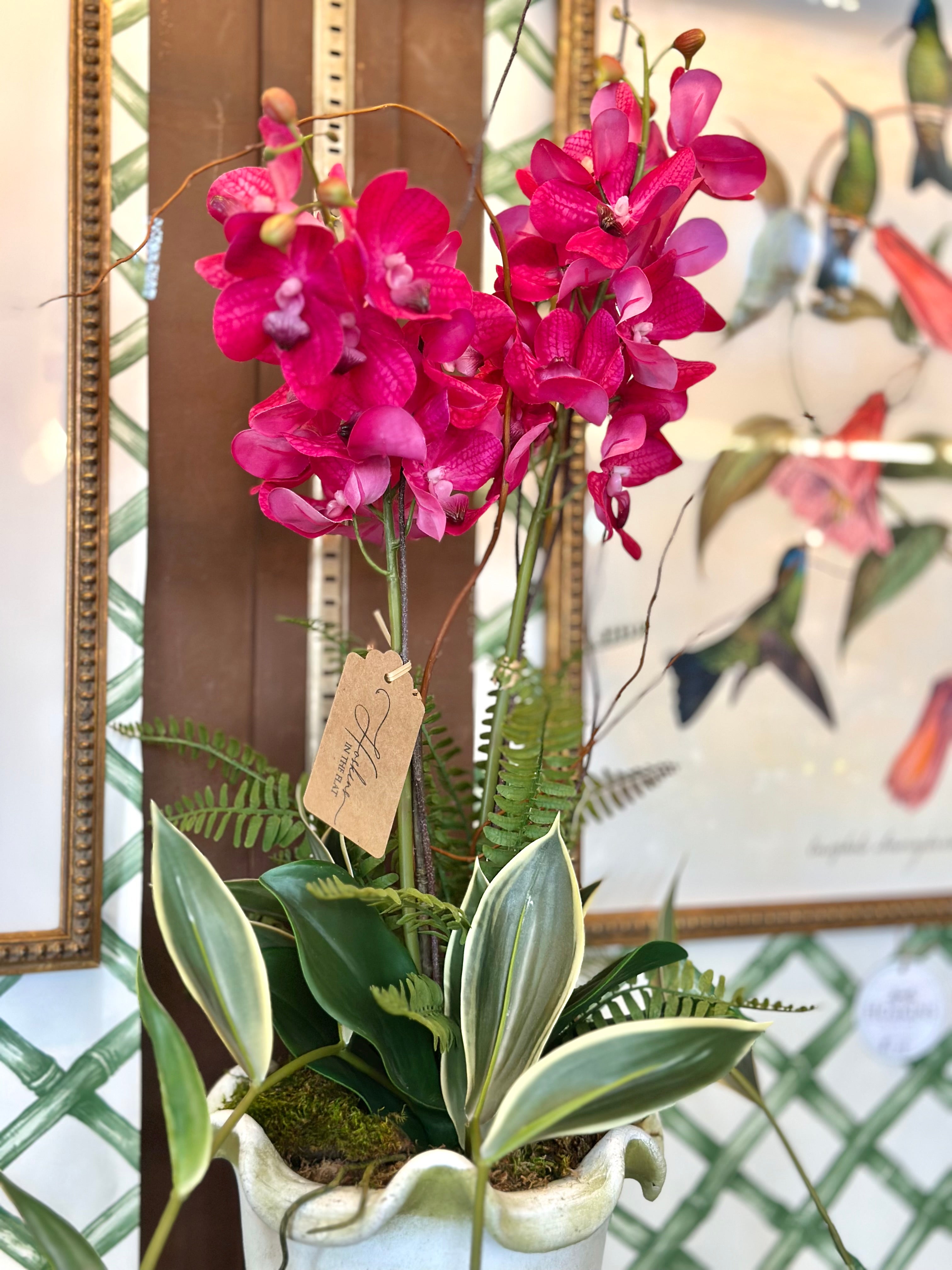 Pink Orchid & Bamboo