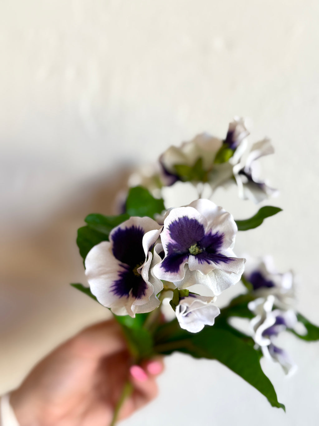 UV PANSY PLANT X7 10.5"