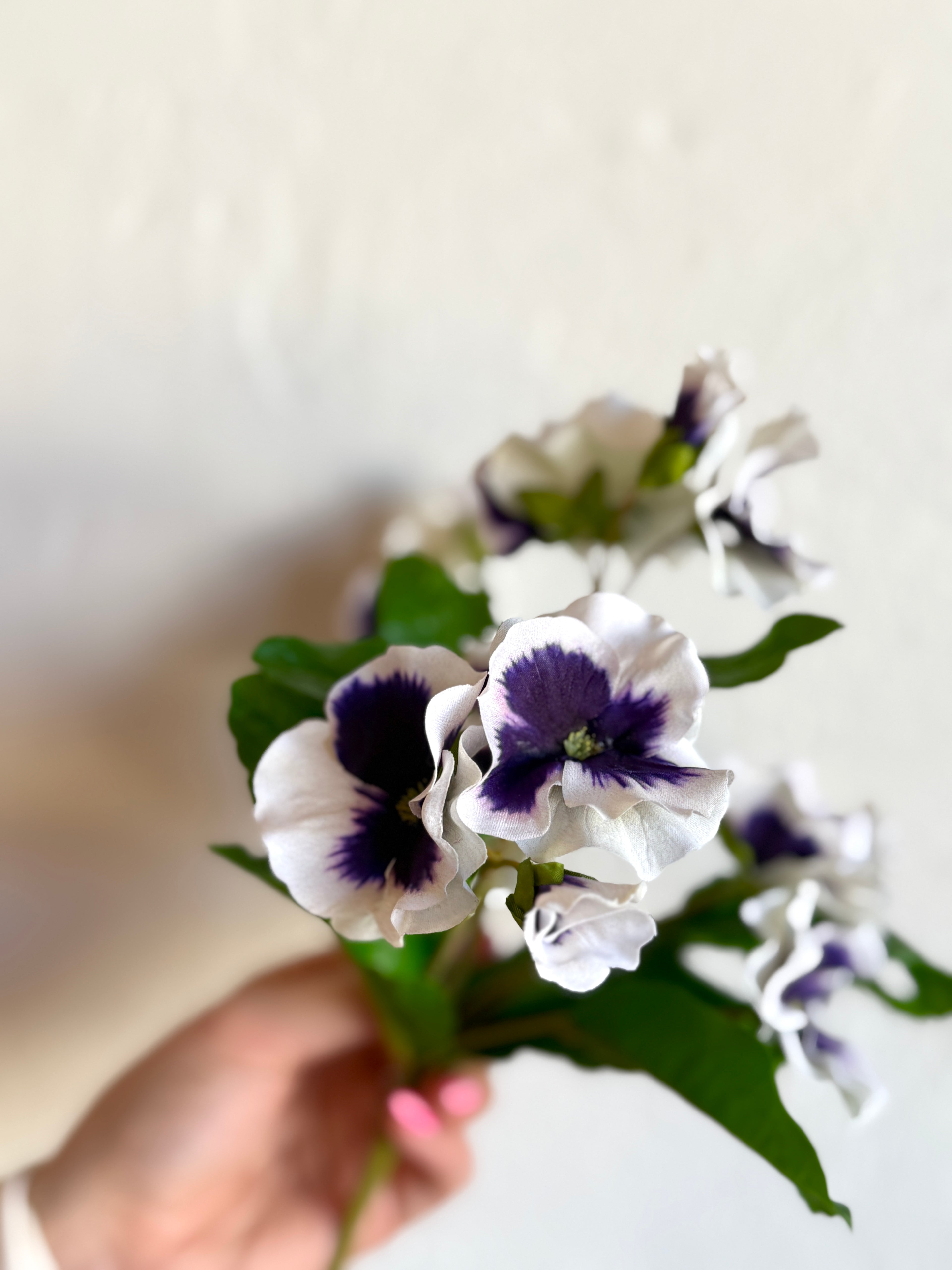 UV PANSY PLANT X7 10.5"