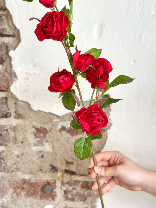 37" Just Cut Garden Rose Branch
