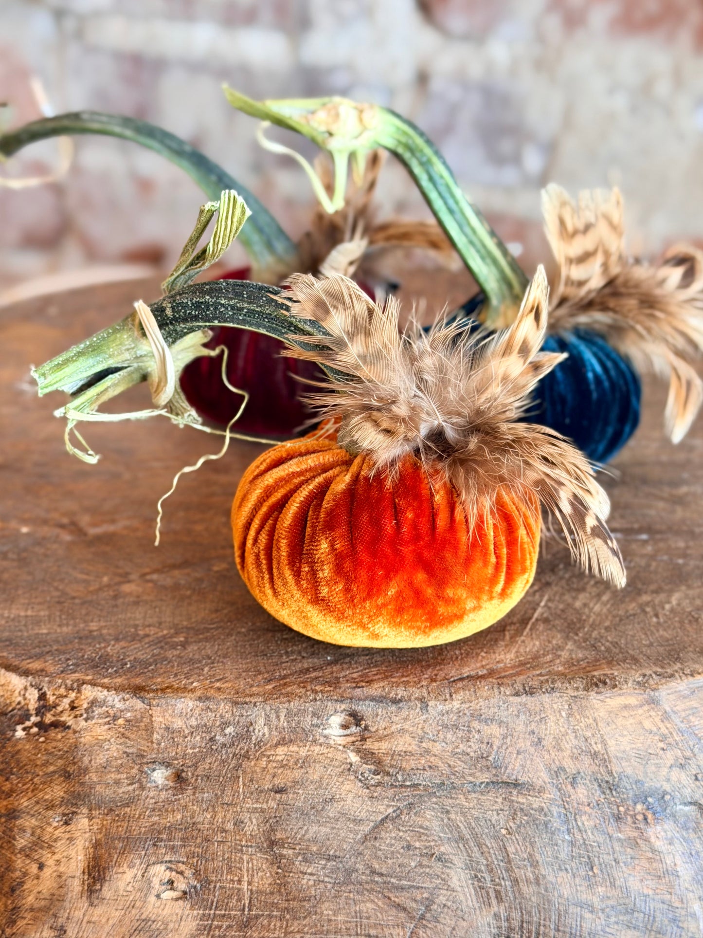3" Velvet Pumpkin with Chinchilla Feather Plume (Silk Options)