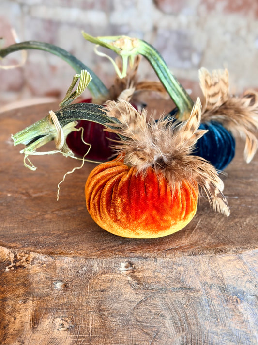 3" Velvet Pumpkin with Chinchilla Feather Plume (Silk Options)