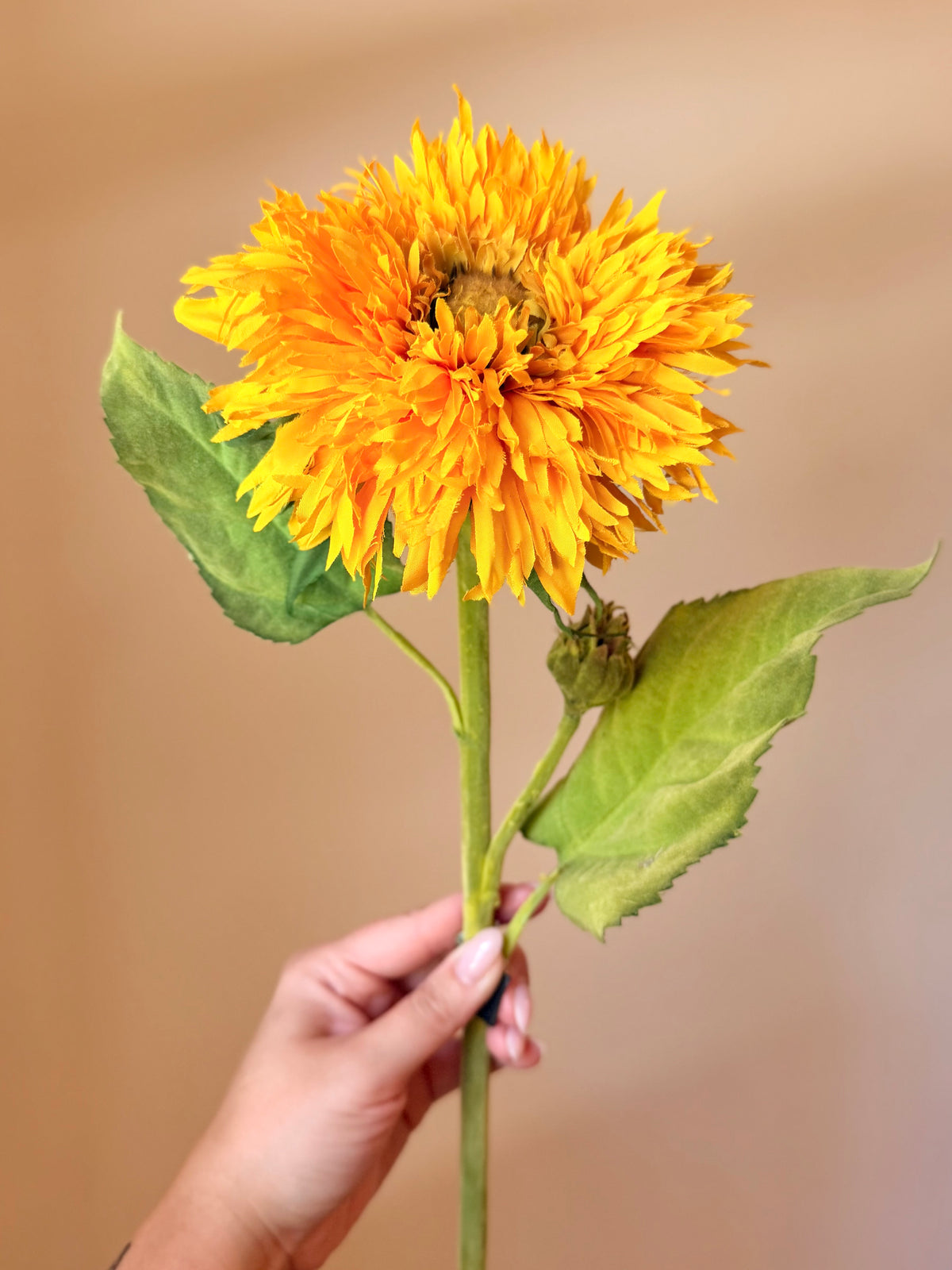 22” Yellow Aster Stem