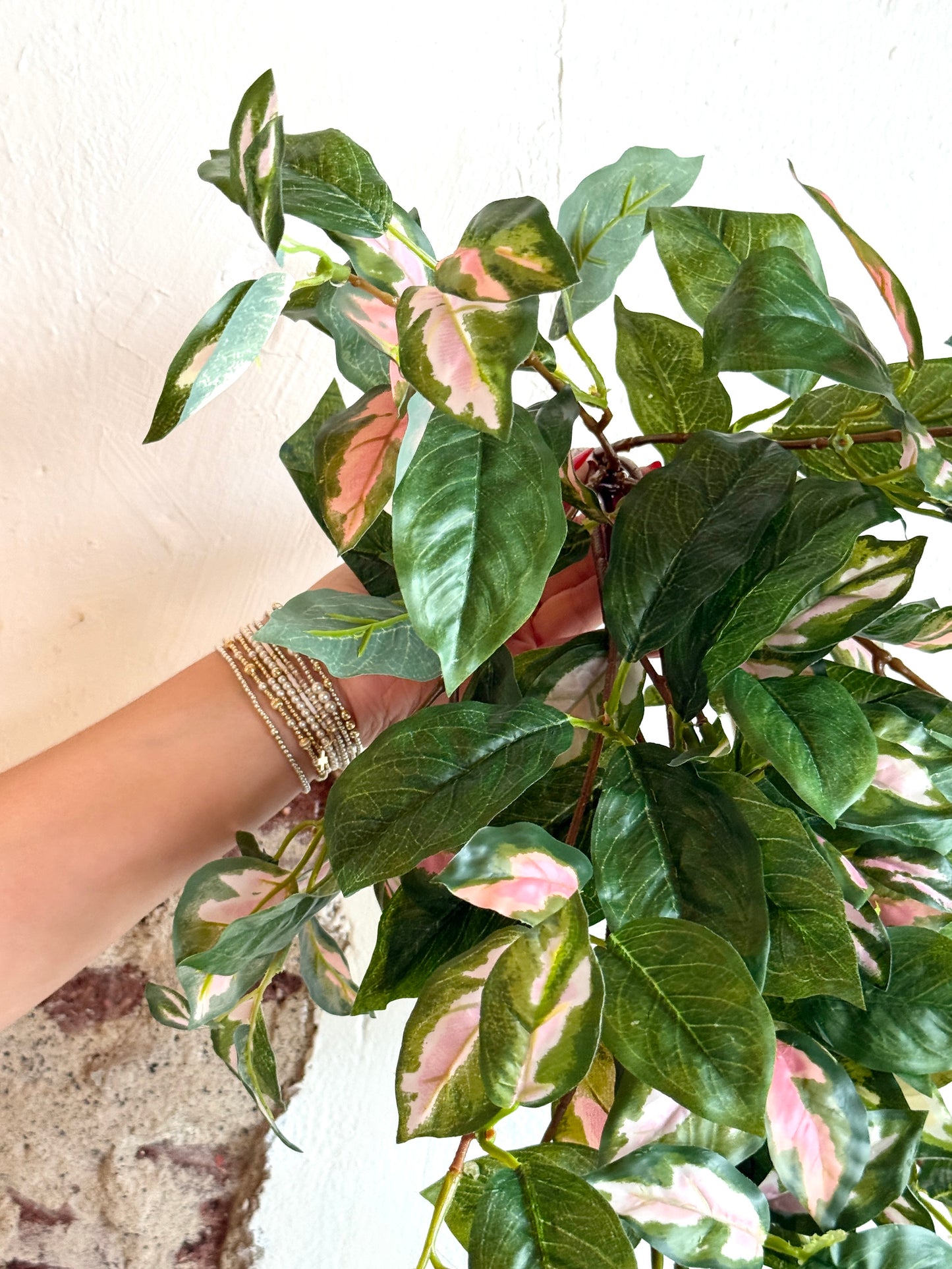 31" HOYA BUSH VINE, GREEN/PINK