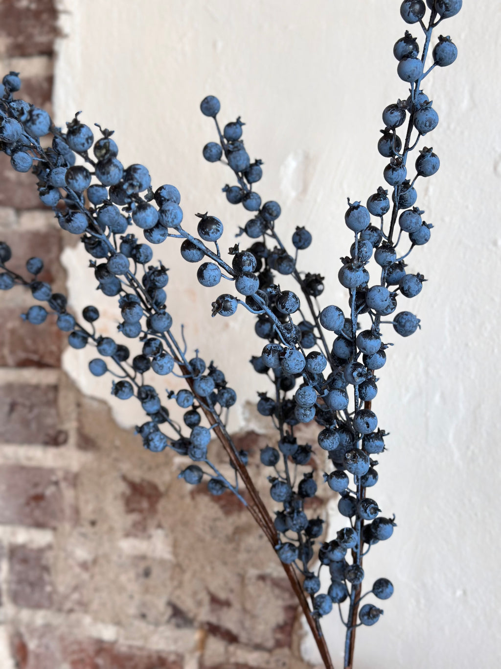 34” Berry Bush Blue - Outdoor