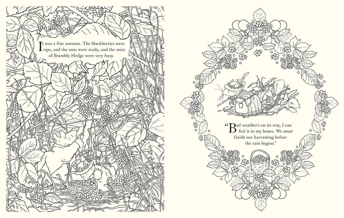Brambly Hedge Festive Coloring Book
