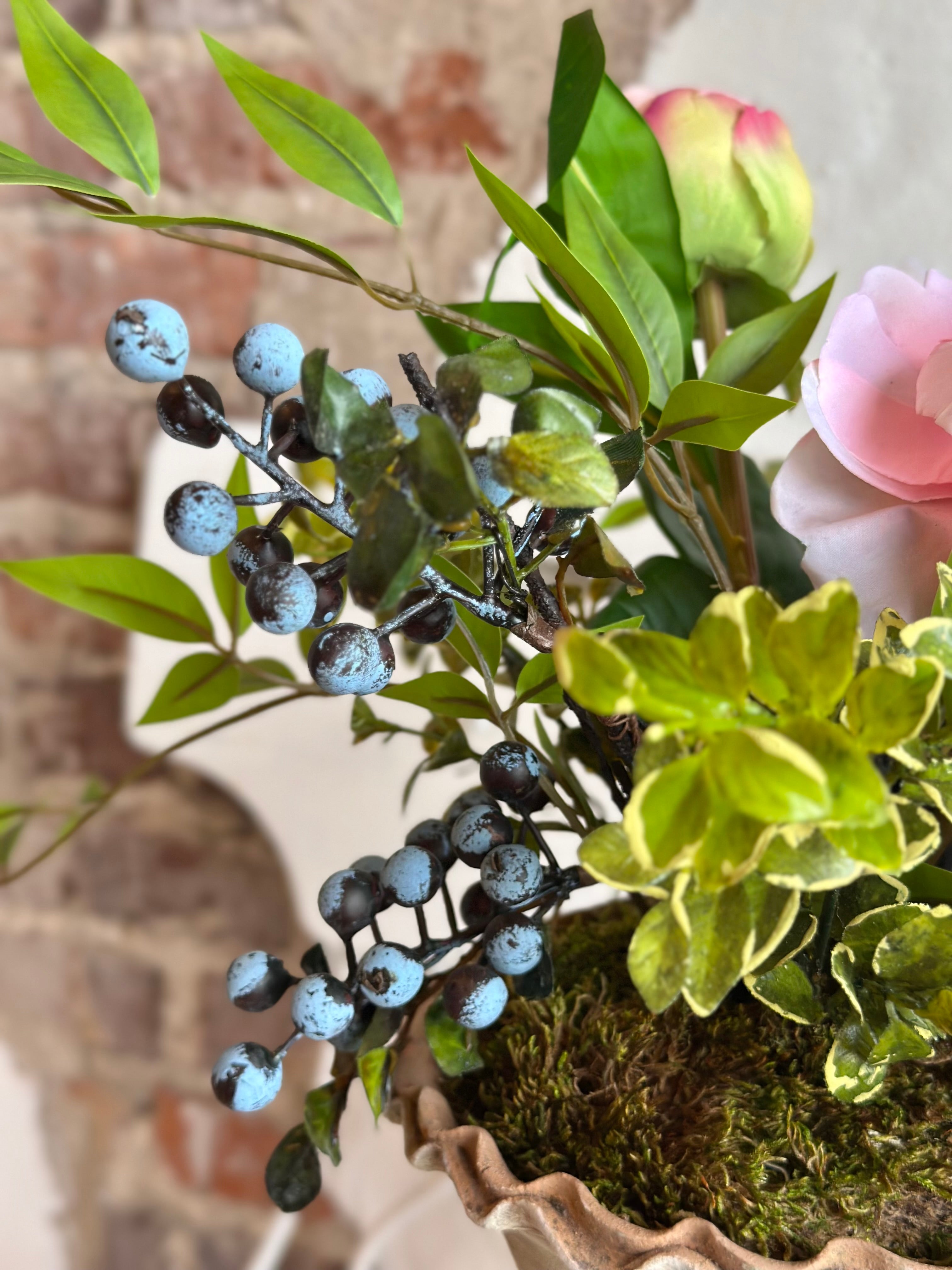 Peony Berry in Terracotta