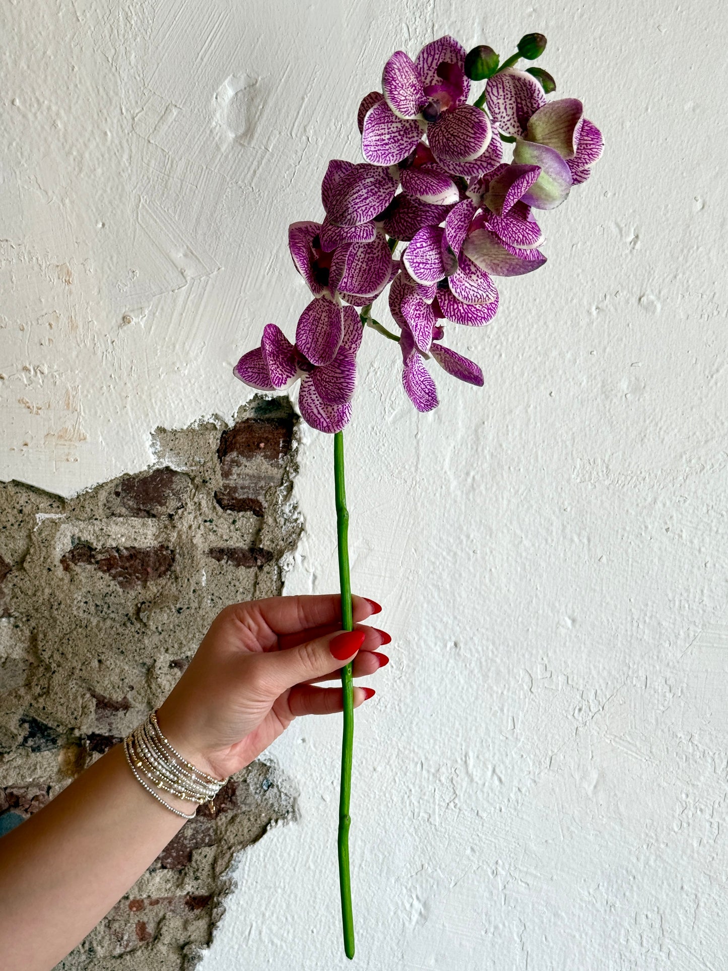 21" PHALAENOPSIS ORCHID SPRAY, PURPLE/CREAM
