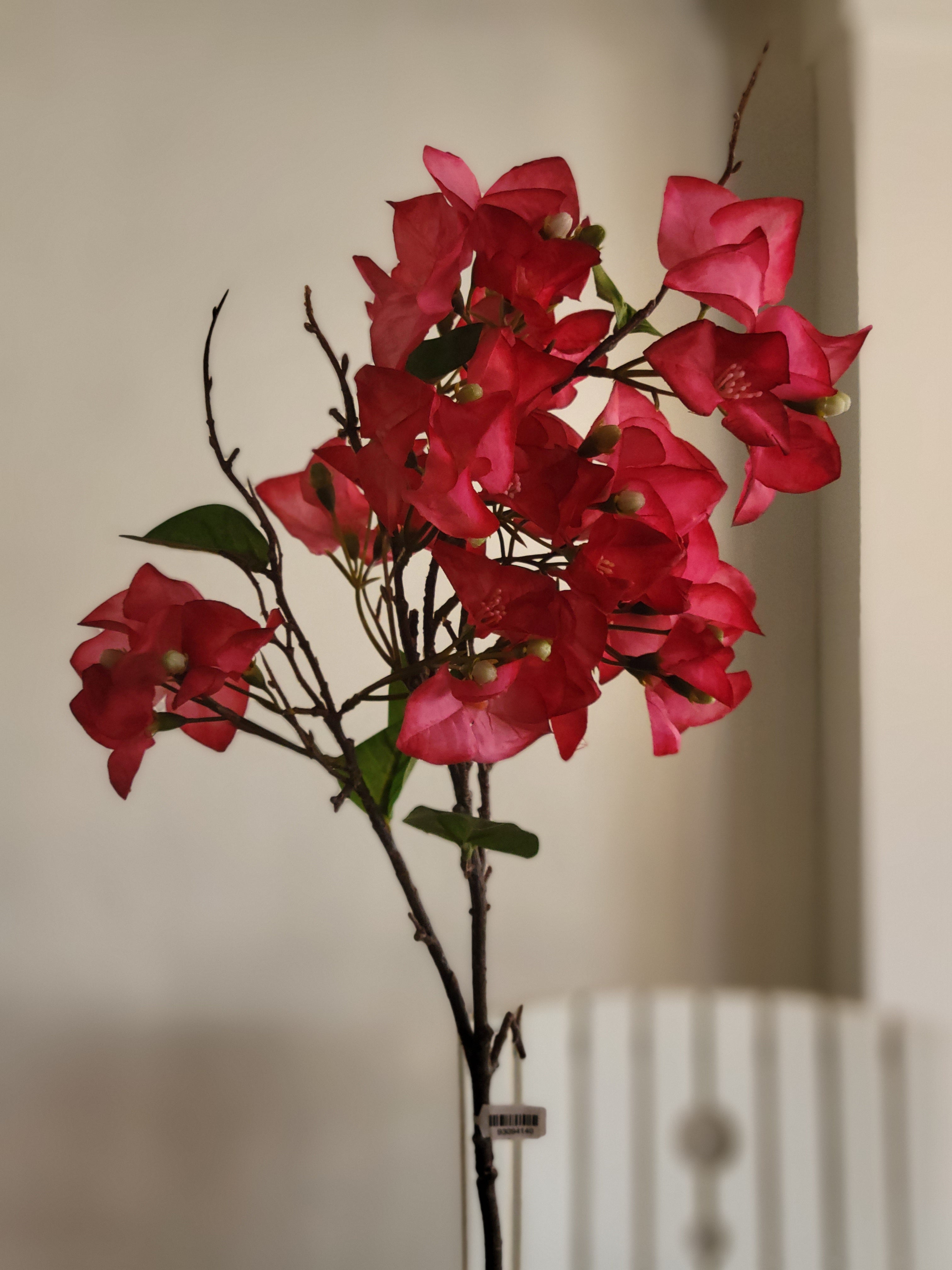 34’’ Bougainvillea Spray- Fuchsia